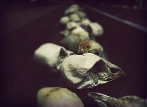 Art by Cody Rex Chamberlain