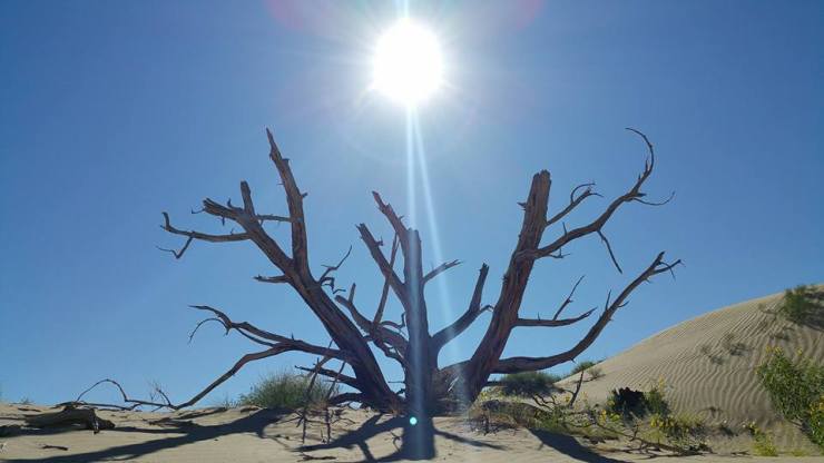 20992592_10155588425319328_7408960505072279599_n