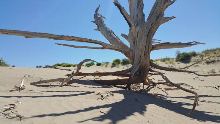 20994200_10155588425159328_6917860242665800674_n