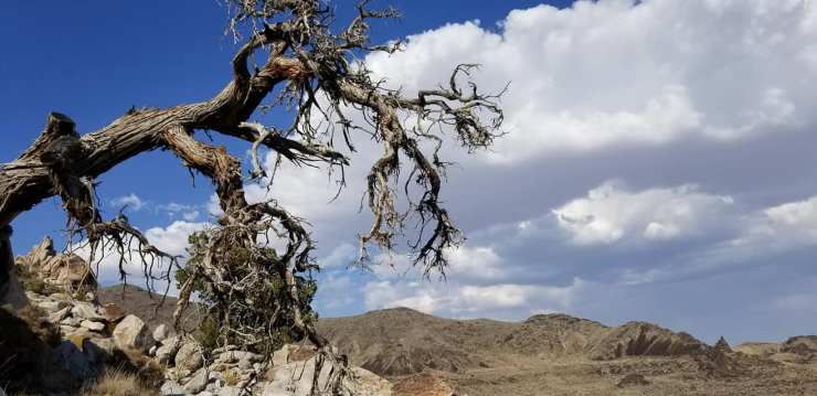 40620825_10156617612769328_4899875880152596480_o