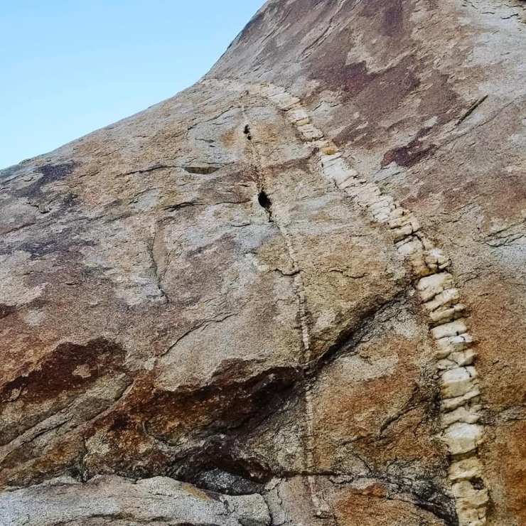 40624306_10156617612364328_2871715159598956544_n