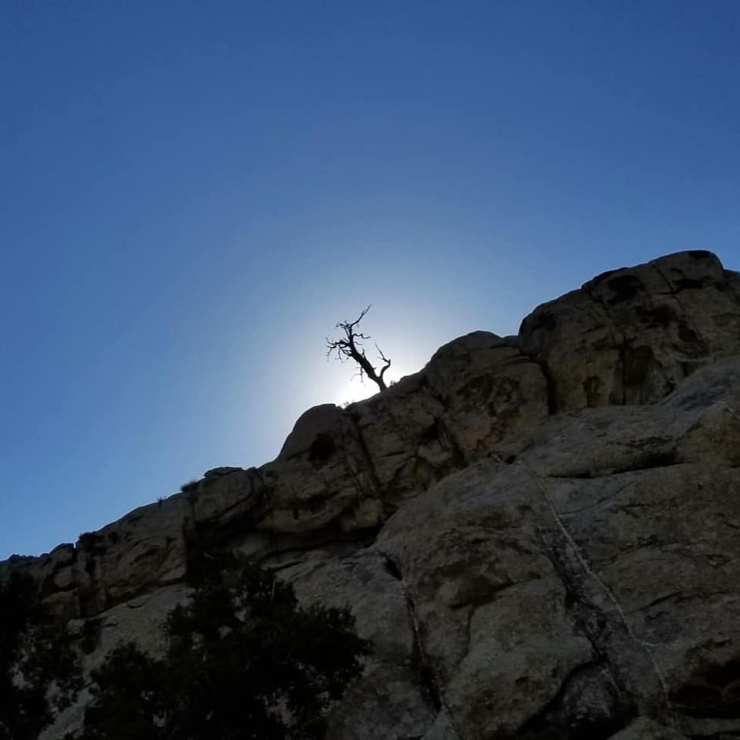 40684762_10156617612424328_4336258218230546432_n