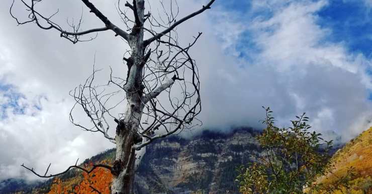 43185883_10156688771199328_5321429729163608064_o