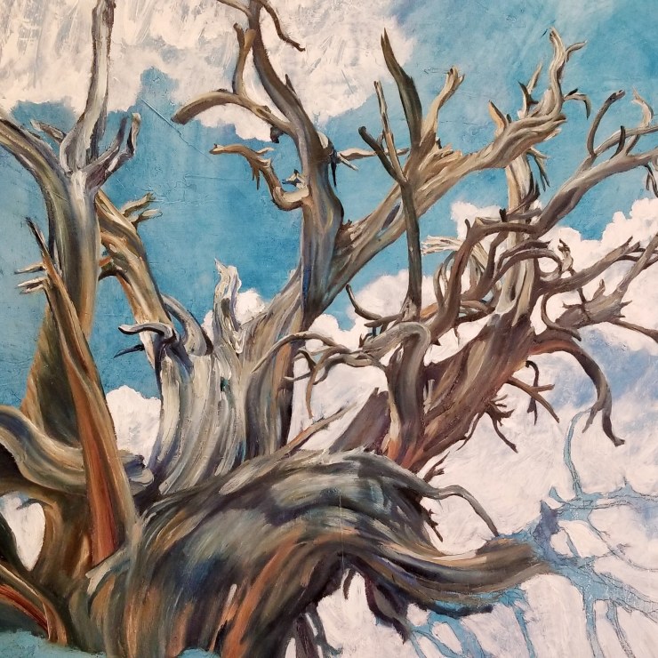 Rockwell Ranch Juniper