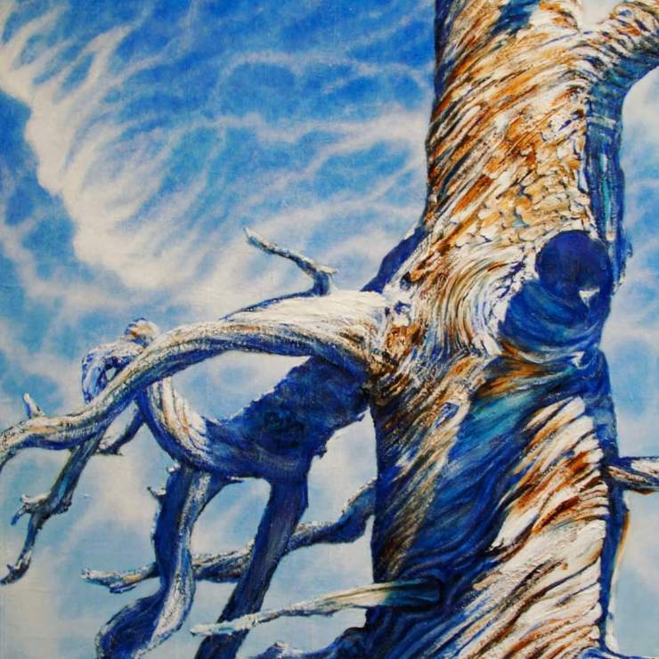 This image has an empty alt attribute; its file name is fb_img_1640989370173.jpeg