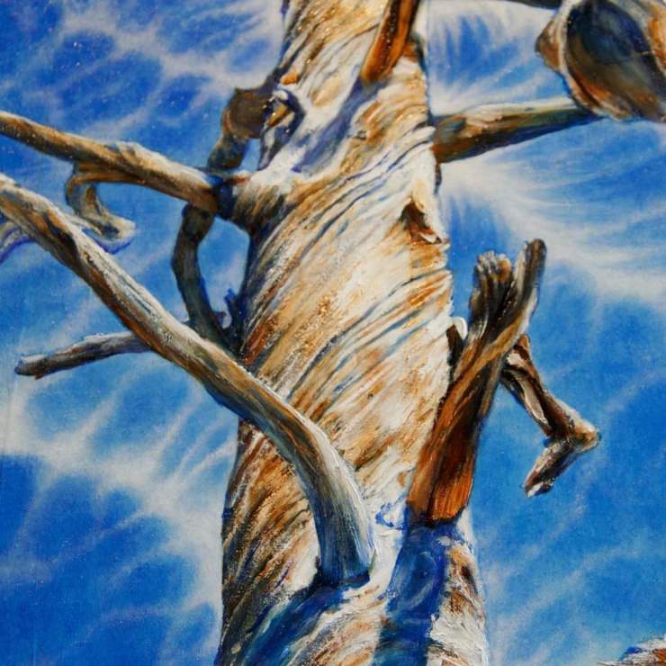 This image has an empty alt attribute; its file name is fb_img_1640989374959.jpeg